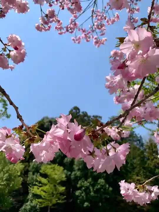 滑川神社 - 仕事と子どもの守り神(福島県)