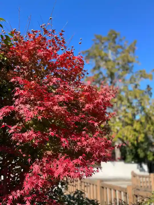 常樂寺(滋賀県)