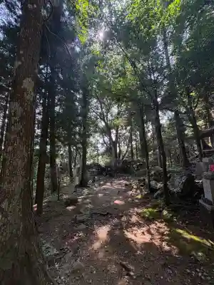 太龍寺奥の院 舎心ヶ嶽(徳島県)