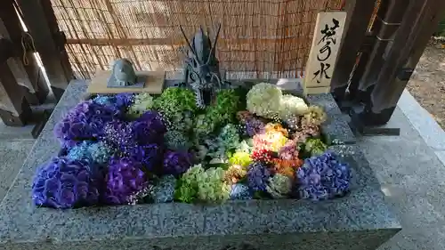 札幌諏訪神社の手水舎