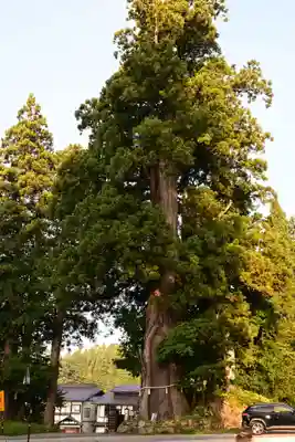 戸隠神社中社(長野県)