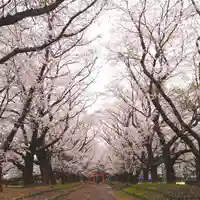東蕗田天満社の自然