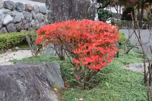 圓融寺の庭園