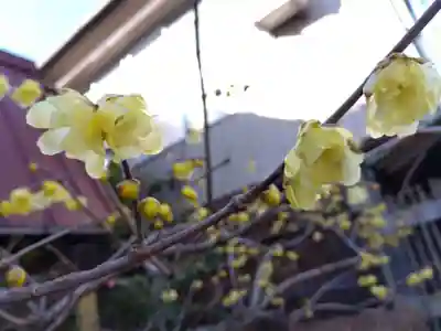 崇禅寺(一文字天満宮)(石川県)