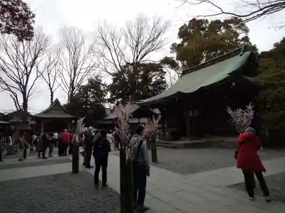 川越氷川神社(埼玉県)