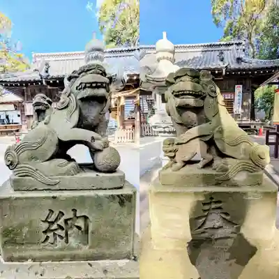 大宮・大原神社の狛犬