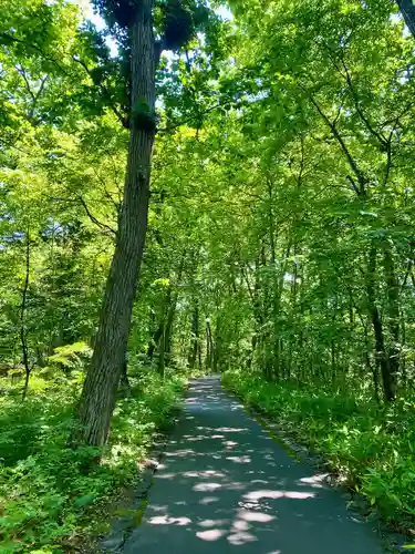音更神社の自然
