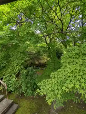 法金剛院(京都府)