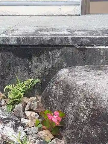 西方山極楽寺の自然