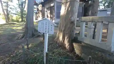 神明宮（御園）の自然