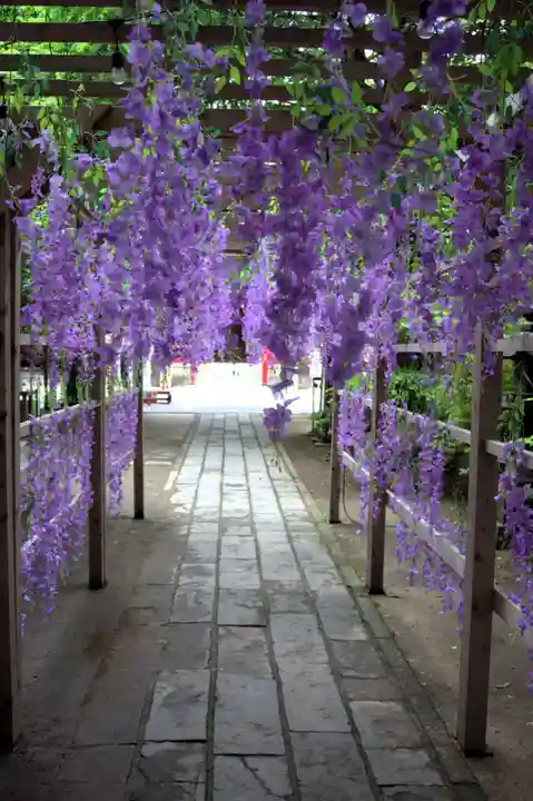 越谷香取神社(埼玉県)
