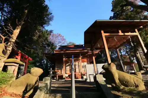 阿久津「田村神社」（郡山市阿久津町）旧社名：伊豆箱根三嶋三社の狛犬