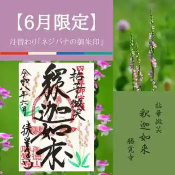 勝覚寺の御朱印
