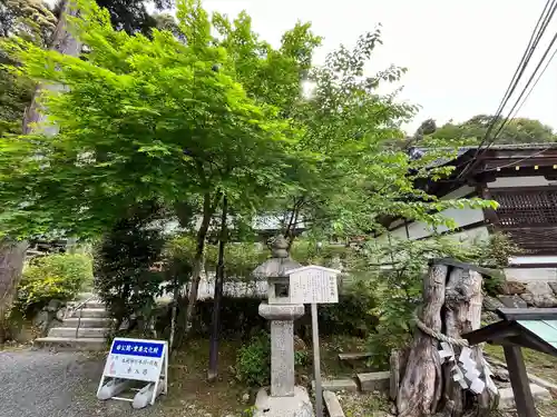 松尾大社(京都府)