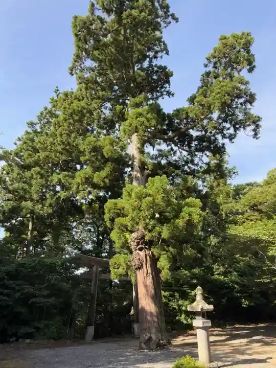 鳥海山大物忌神社吹浦口ノ宮(山形県)