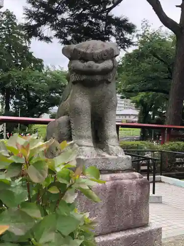 狭山八幡神社の狛犬