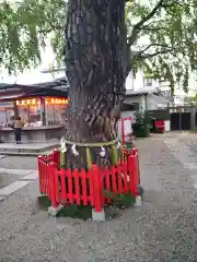 鴻神社の建物その他