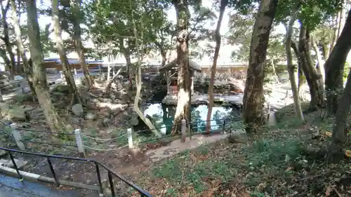 泉神社(茨城県)