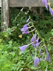 国宝 大法寺の自然