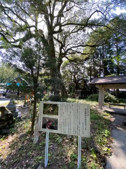 山口神社(長崎県)