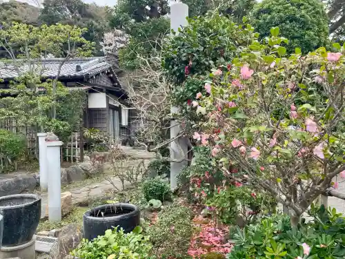 日蓮宗龍口山本龍寺の{uncategorized: "未分類", other: "その他", undefined: "問題あり", building: "その他建物", grave: "お墓", sacred_gate: "鳥居", guardian: "狛犬", statue: "像", buddha: "仏像", history: "歴史", nature: "自然", garden: "庭園", animal: "動物", pagoda: "塔", temizu: "手水舎", mountain_gate: "山門・神門", sanctuary: "本殿・本堂", subordinate: "末社・摂社", art: "芸術", scenery: "景色", jizo: "地蔵", ema: "絵馬", goshuin: "御朱印", omikuji: "おみくじ", items: "授与品その他", amulet: "お守り", goshuincho: "御朱印帳", eats: "食事", festival: "お祭り", votive_dance: "神楽", shichigosan: "七五三参", wedding: "結婚式", experience: "体験その他", initially: "初詣", around: "周辺", anti_infection: "感染症対策"}