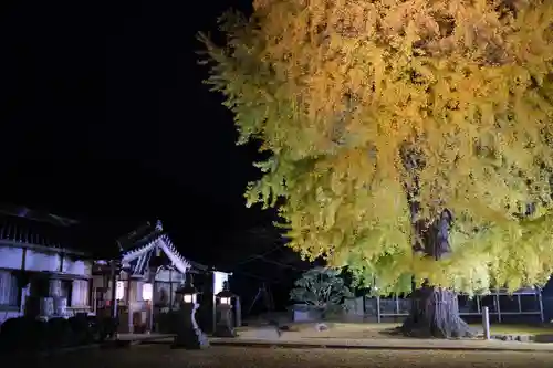 丹生酒殿神社のその他建物