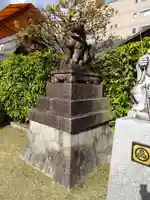 京都ゑびす神社の狛犬