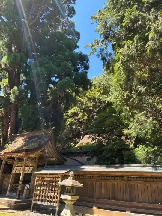 若狭姫神社(若狭彦神社下社)(福井県)