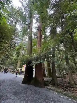 椿大神社(三重県)