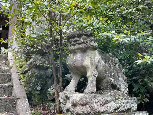 琴平神社の狛犬