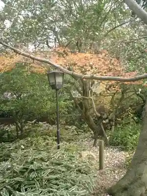 安國論寺（安国論寺）の周辺