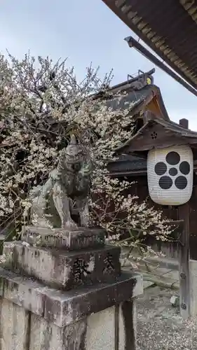 北野天満宮(京都府)