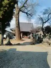 遠照寺の本殿