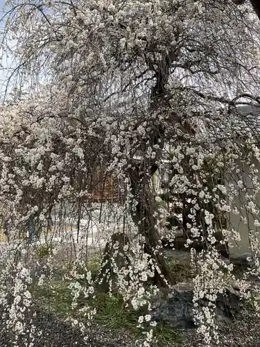 慈眼寺(愛知県)