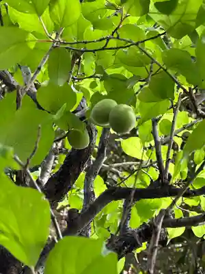 布多天神社(東京都)