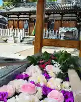 阿保神社(大阪府)