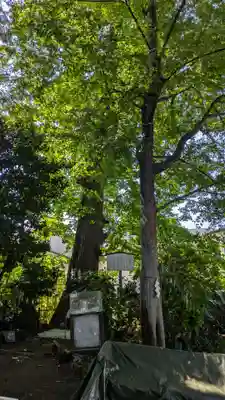 戸越八幡神社(東京都)