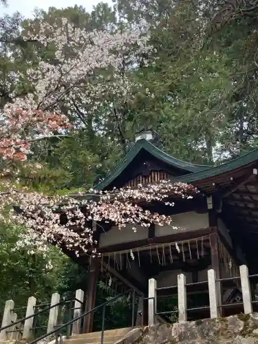 吉田神社(京都府)
