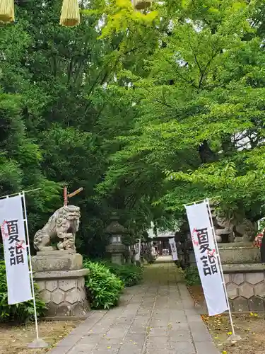 神炊館神社 ⁂奥州須賀川総鎮守⁂の狛犬