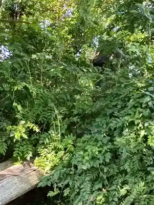 富士淺間神社(茨城県)