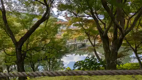 禅林寺（永観堂）(京都府)