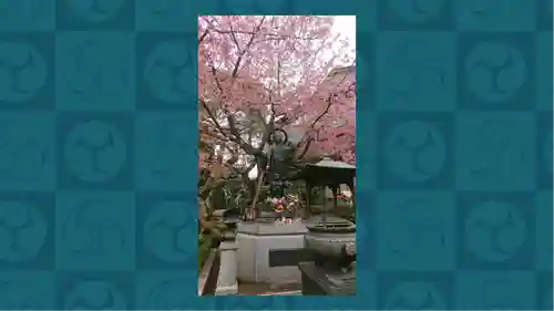 密藏院(埼玉県)