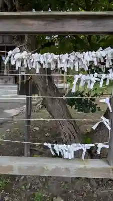 壮瞥神社(北海道)