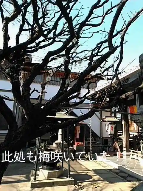 常性寺のその他建物