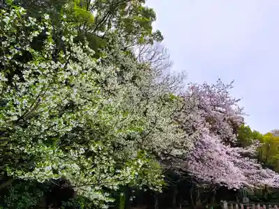 福岡縣護國神社の自然