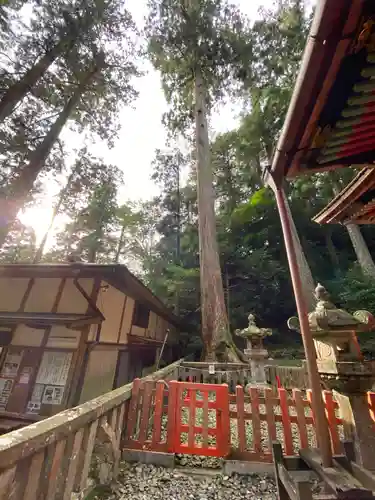 鳳来山東照宮のその他建物