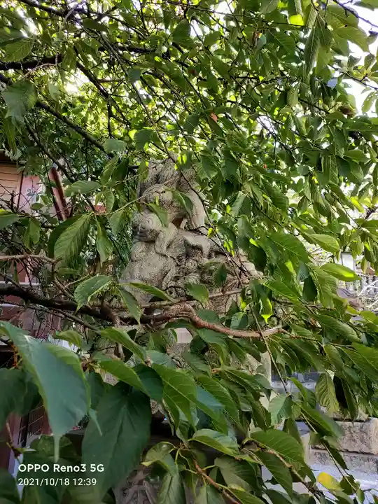 元三島神社の狛犬