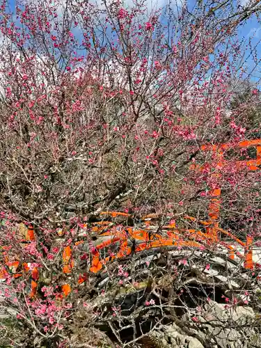賀茂御祖神社（下鴨神社）の自然