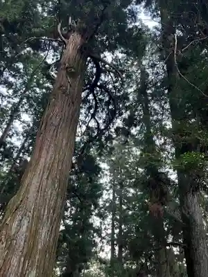 大宮温泉神社(栃木県)