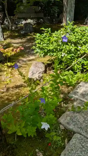 勝林寺(京都府)